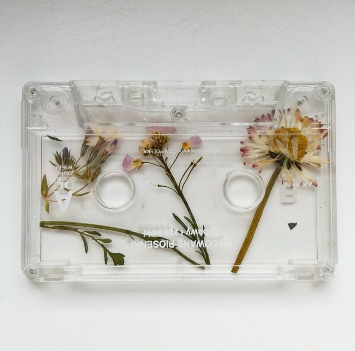 Cassette tape with pressed flowers inside